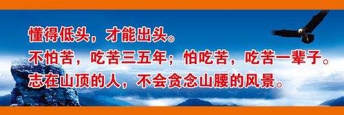 奇kaiyun官方网妙的喷泉教案及活动反思(蒙古马教案及活动反思)